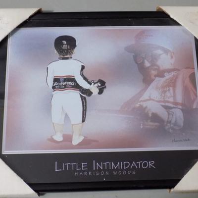 Little Intimidator Dale Sr print