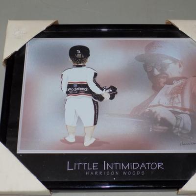 Little Intimidator Dale Sr print
