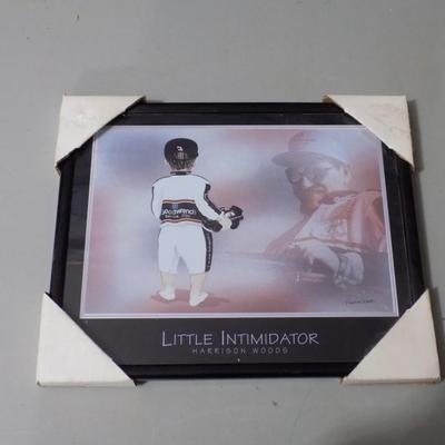 Little Intimidator Dale Sr print