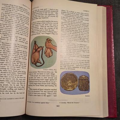The Living Bible