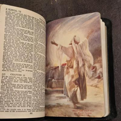 Antique Illustrated Bible