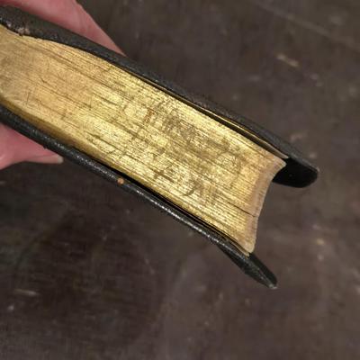 Antique Illustrated Bible