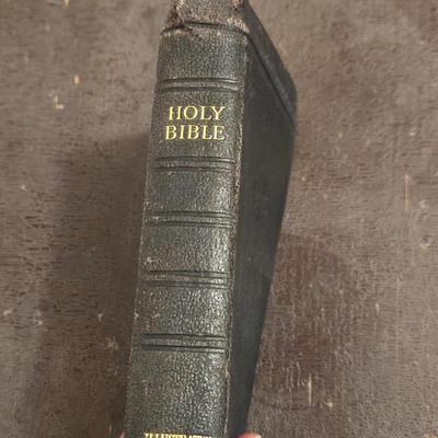 Antique Illustrated Bible