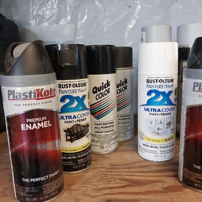 VARIETY OF SPRAY PAINT