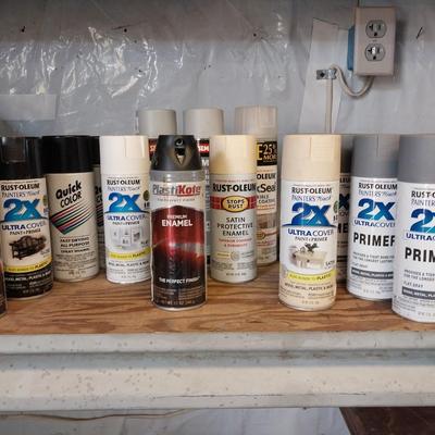 VARIETY OF SPRAY PAINT