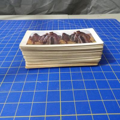 73 Stereoview cards dated 1905