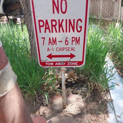 NO PARKING SIGN AND TWO CONES
