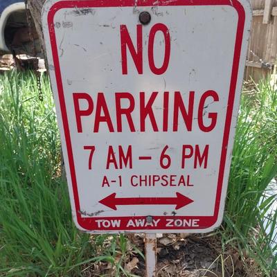 NO PARKING SIGN AND TWO CONES