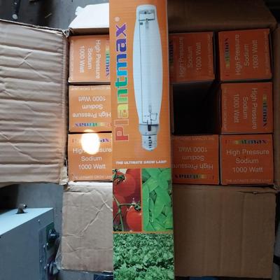 BOX OF 1000-WATT BULBS