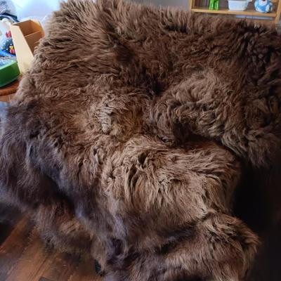 Real Bear Skin Rug