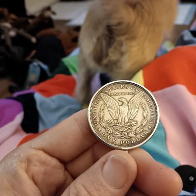 Morgan silver Dollar on necklace