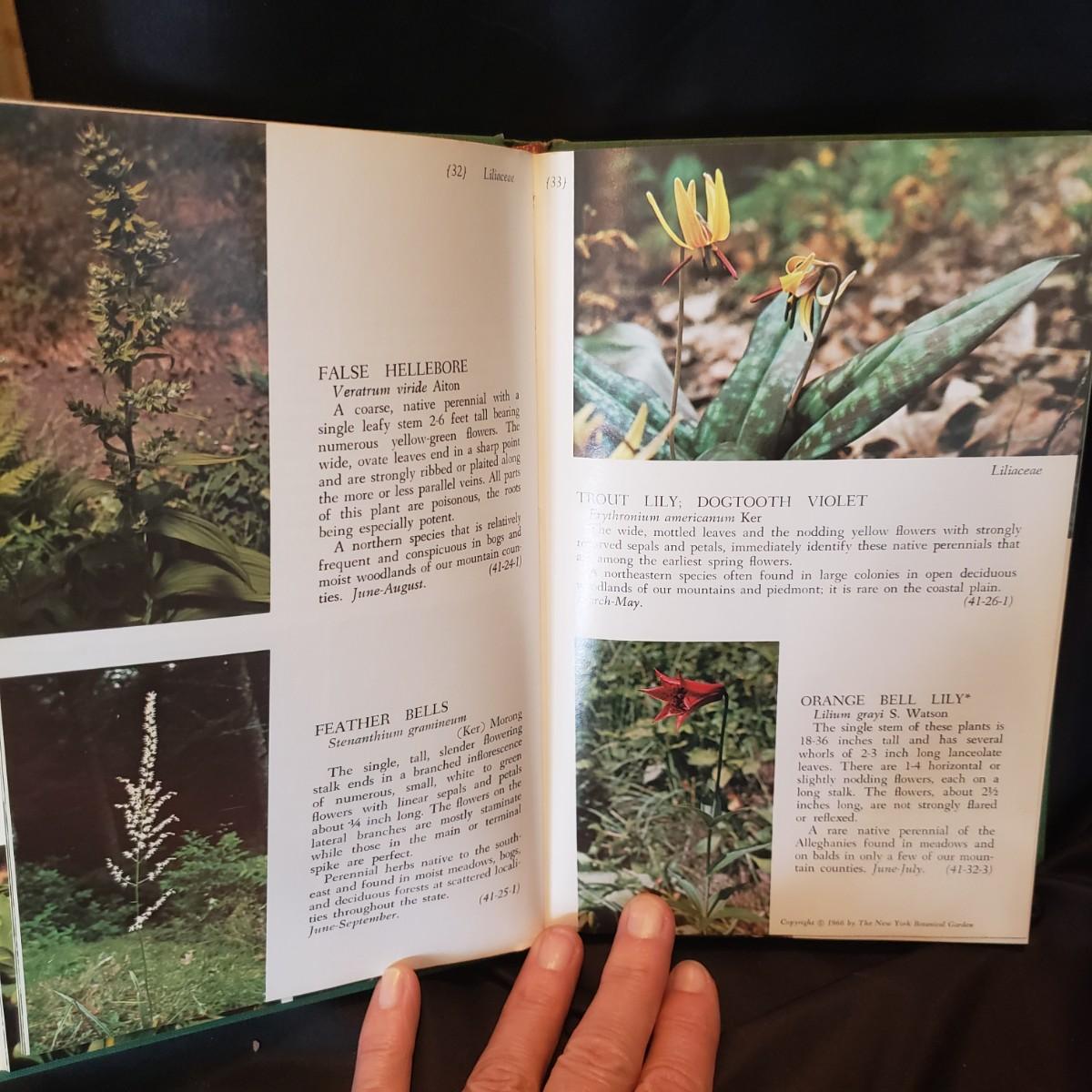 Old Nature Guide Old Fashioned Nature Books (HC-KD) | EstateSales.org