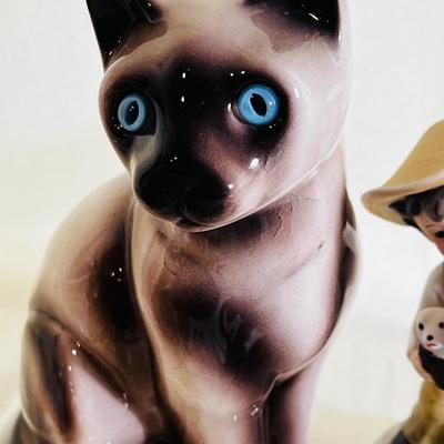 Cats lot