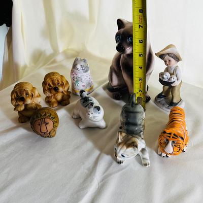 Cats lot