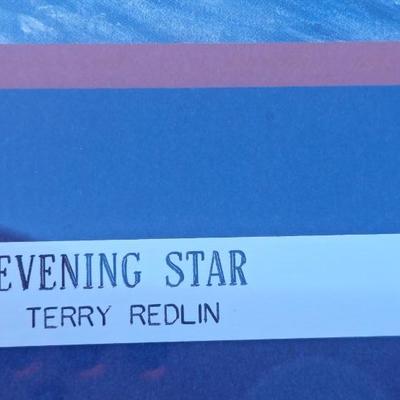 Evening Star Framed By Terry Redlin