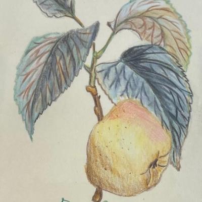 Pair of Signed Bruna Angelili Lithographs