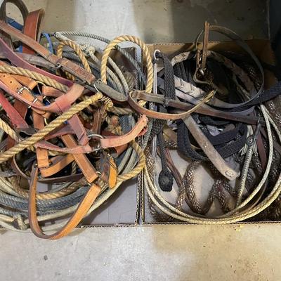 2 Boxes of Horse Tack Reins & Ropes