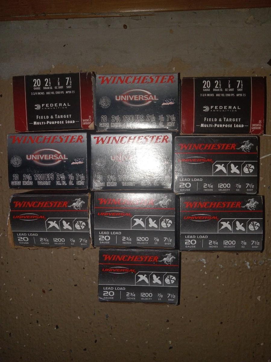 20 gauge shells | EstateSales.org