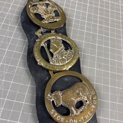 Set of BRIDAL Medallions - Charles and Diana plus Royal