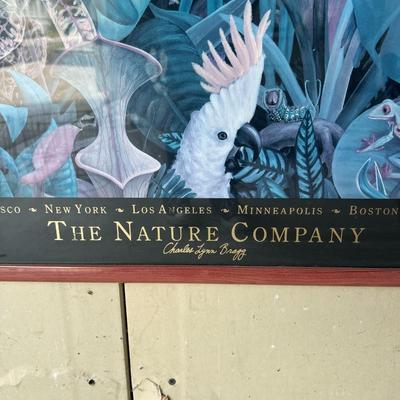 Framed “The Nature Company” Art