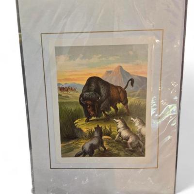 Antique and vintage prints