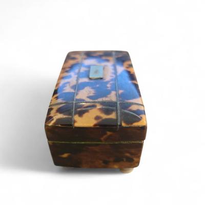 Miniature tortoise box