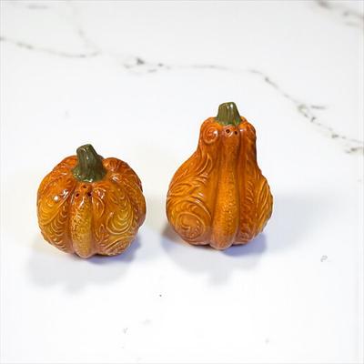 Pier One Fall Pumpkin and Ghourd Salt and Pepper Shaker Set