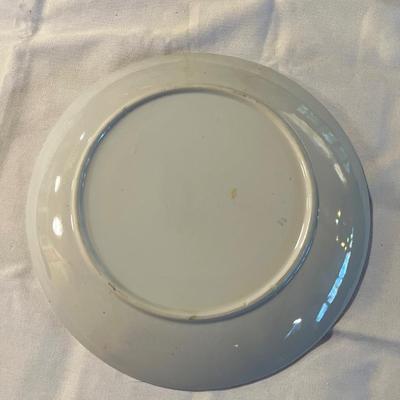 Sea Shell Design Decorative Plate