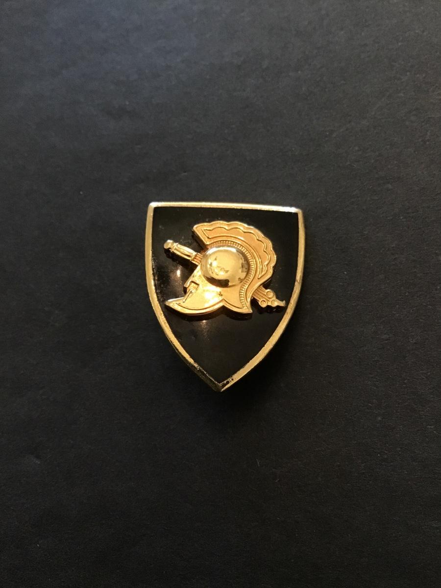 Antique Victorian gilt black enameled Heraldic shield pin | EstateSales.org