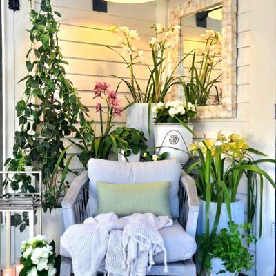 Planters and pots and all weather outdoor 