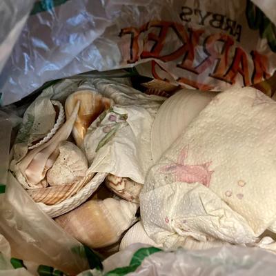 Shells