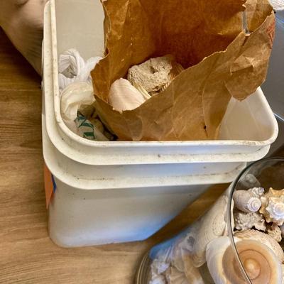 2 Large containers of Medium Shells