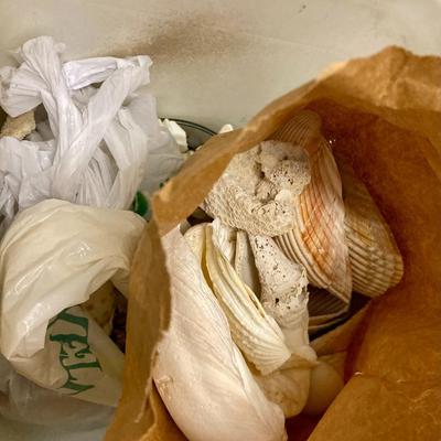 2 Large containers of Medium Shells