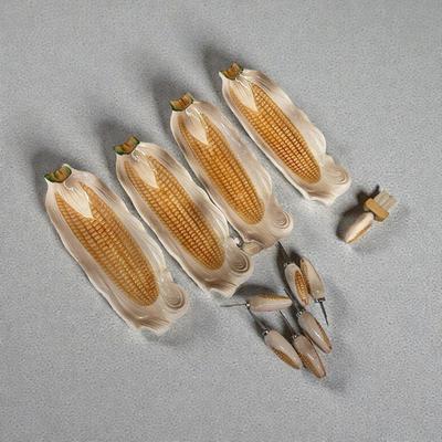 Vintage Corn on the Cob Ceramic Dishes and holders