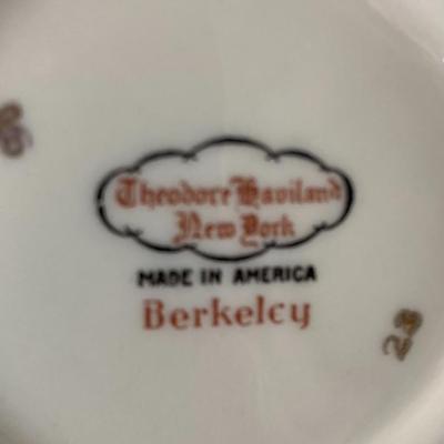 Theodore Haviland (USA) Berkely pieces