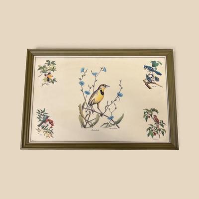 Bird Prints on Vinyl Framed