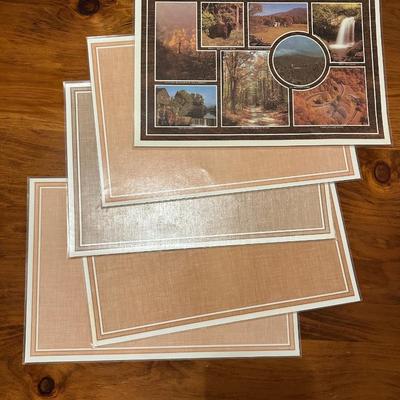 5 Vintage Plastic Placemats Of the Area