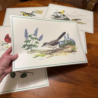 6 Plastic Vintage Bird Placemats
