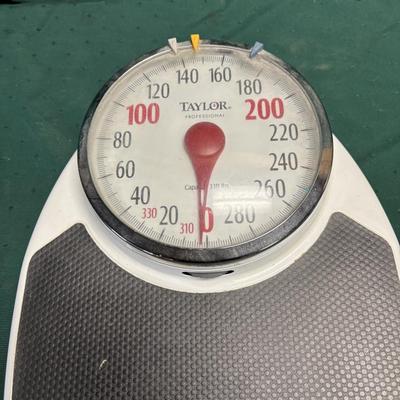 Taylor Scales