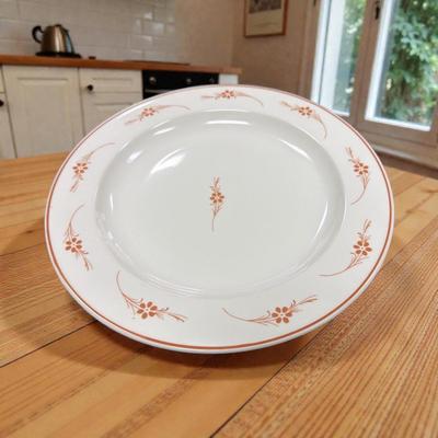 Set of 8 MSE (Martha Stewart Everyday) rosehip Pattern Dishwasher safe Dinner Plates