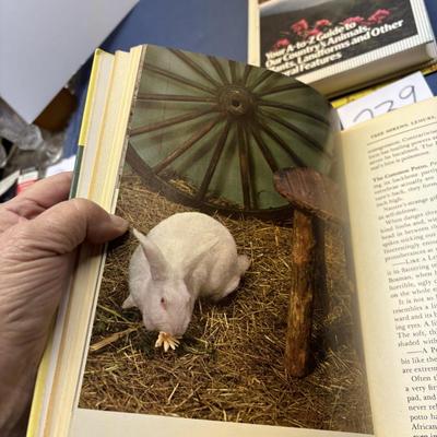 Nature Book Lot