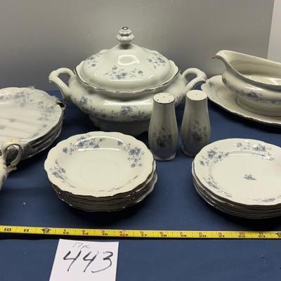 17 pc. Johann Haviland Bavaria Germany China