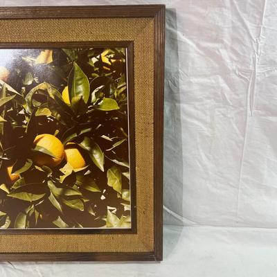 Real Wood Frame with burlap mesh framing a Nature Photograph of a lemon tree