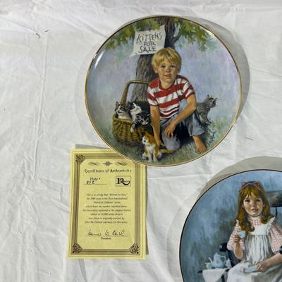 Reco Collector plates