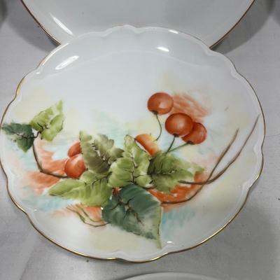 Decorative Plate Vintage Variety