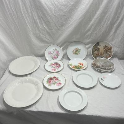 Decorative Plate Vintage Variety