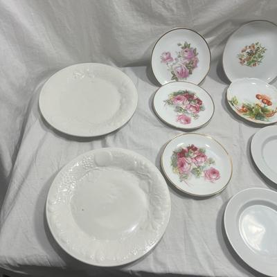 Decorative Plate Vintage Variety