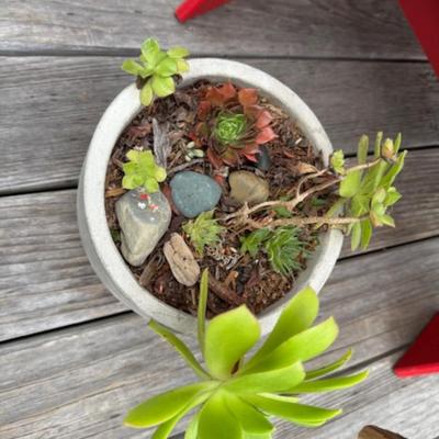OUTDOOR SMALL PLANT AND WIND CHIME