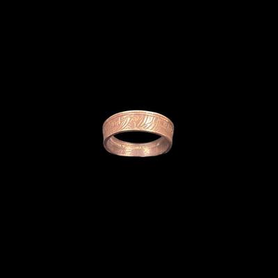 Coin Ring Not Silver