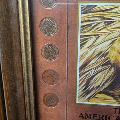 Framed Indian Head Penny Collection The American Indian 1901–1907 Coin Set